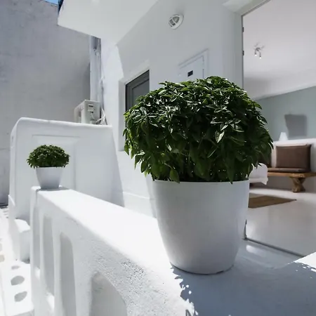 Guest house Arktos White *